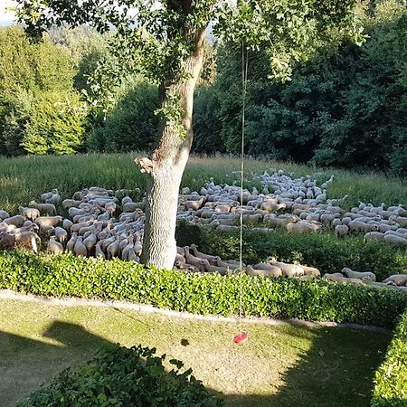 Ferienwohnung "Tecklenburger Augenblicke" Exterior foto